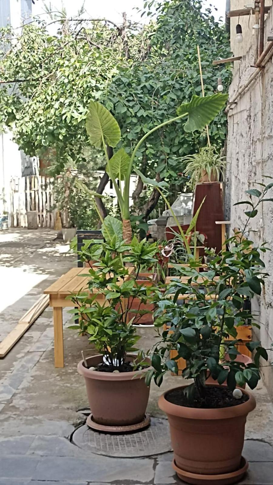 "Stairs"Guest House Yerevan Bagian luar foto